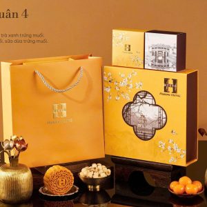Bánh Trung Thu Madame Hương Hộp Đồng Xuân Phố 4